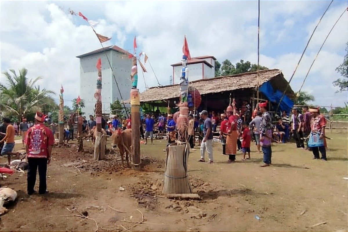 8 Tradisi Suku Dayak