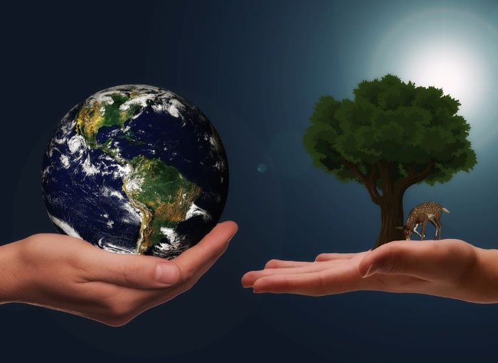 Bagaimana Kebijakan Pemerintah